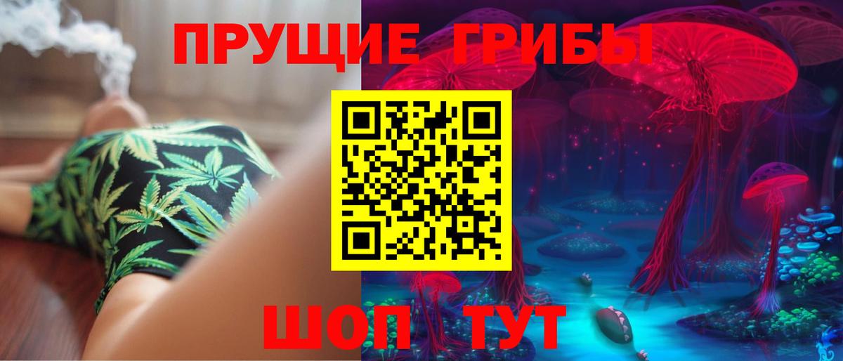 Галлюциногенные грибы Psilocybine cubensis  Вход с VPN  Прохладный 
